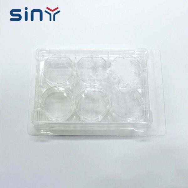 48well Cell Culture Series Tissue Plate 2
