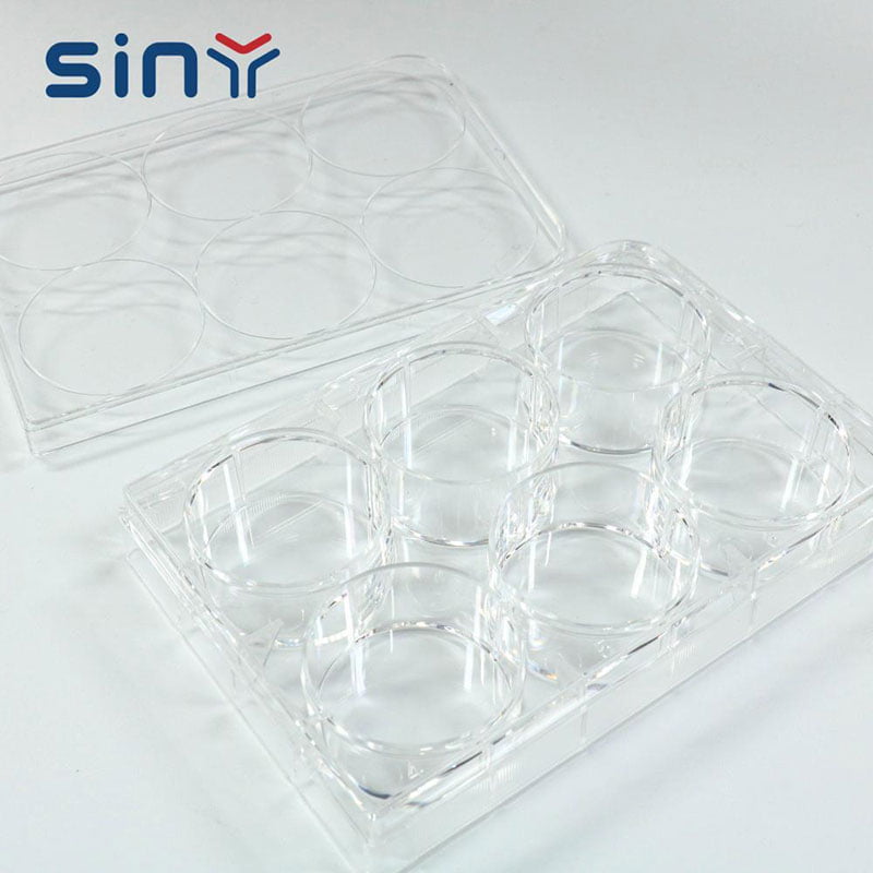 48well Cell Culture Series Tissue Plate