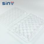 Plastic Siamese Petri Dish 35mm for laboratory 1