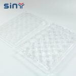 Plastic Siamese Petri Dish 35mm for laboratory 2