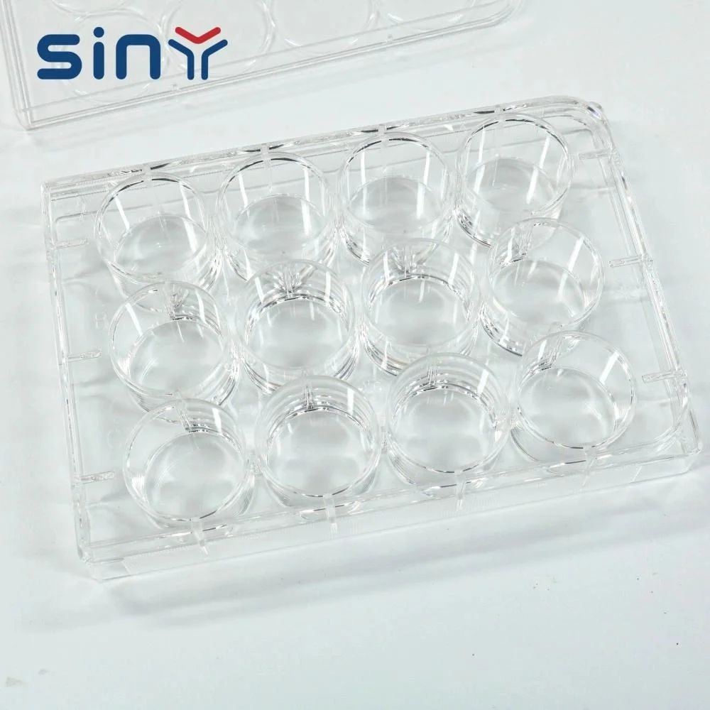 Plastic Siamese Petri Dish 35mm for laboratory 4