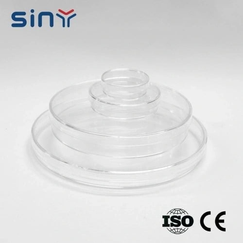 Square Petri Dish for Laboratory 2