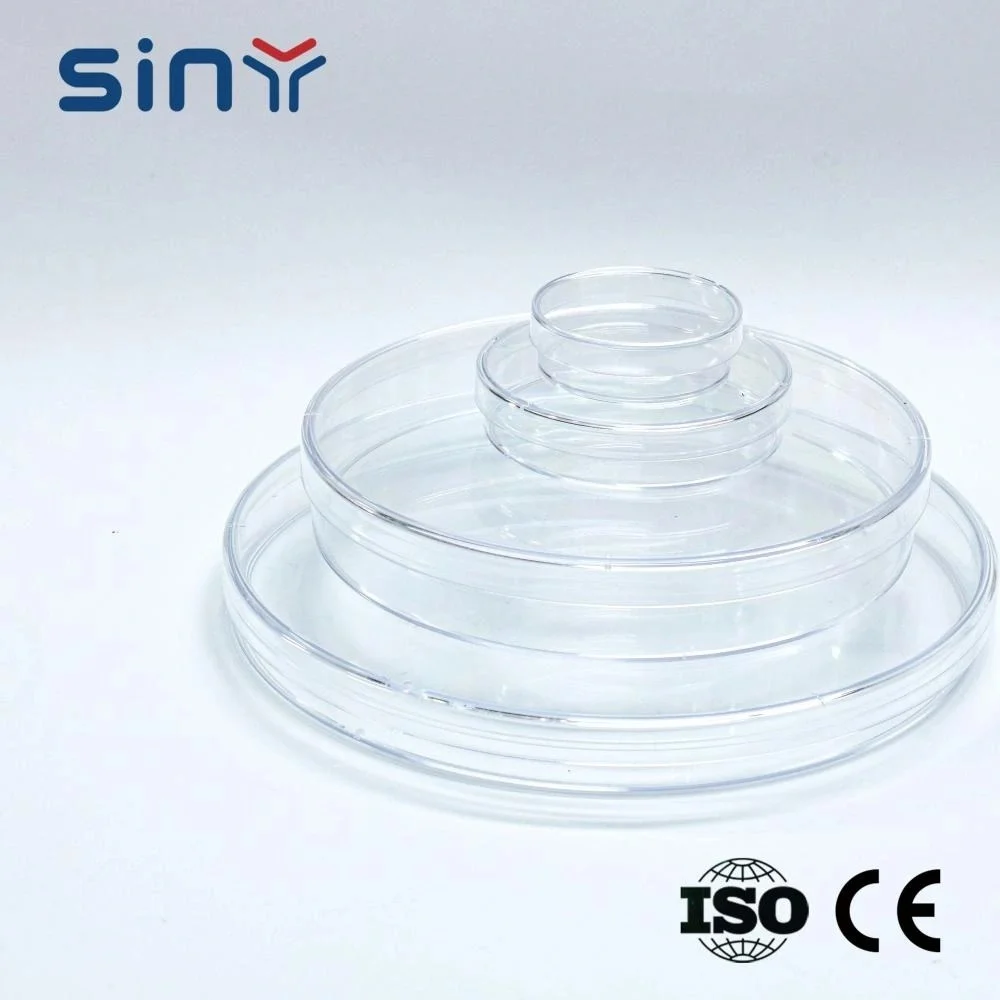 Square Petri Dish for Laboratory 4
