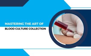 blood culture collection