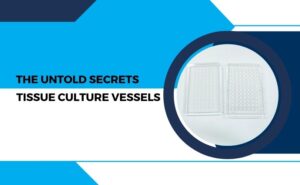 The Untold Secrets of Tissue Culture Vessels