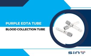 Purple EDTA Tube in the Blood Collection Tube