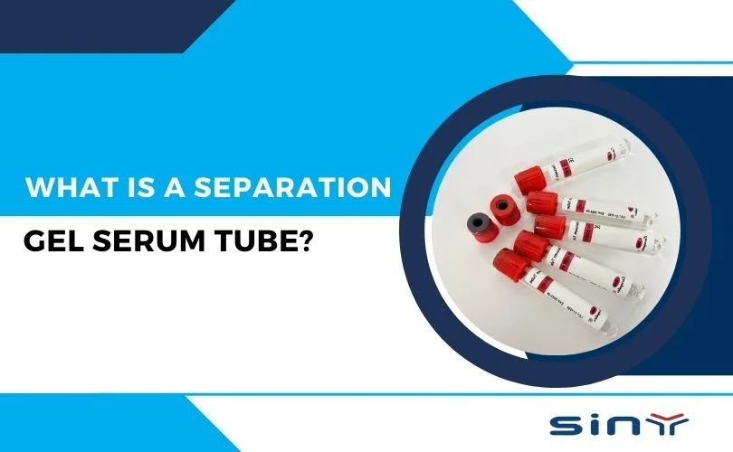 Separation Gel Serum Tube showing distinct layers of serum and blood component