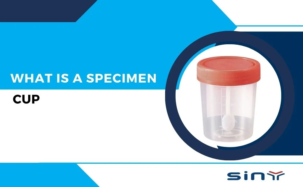 What is a specimen cup