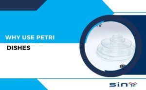 Why use Petri dishes