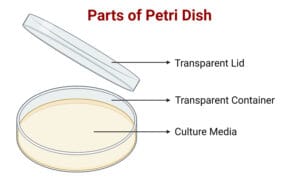 Siny Medical Parts of Petri Dish.jpg