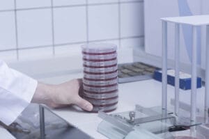 Reliable Petri Dishes for Microbial and Cell Cultures
