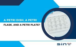 What is the Difference Between a Petri Dish, a Petri Flask, and a Petri Plate?