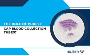 What is the role of Purple Cap Blood Collection Tubes?