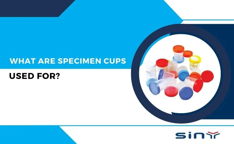 What Are Specimen Cups Used For?