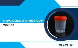 How does a Urine Cup Work?`