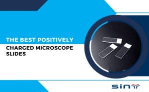 The Best Positively Charged Microscope Slides