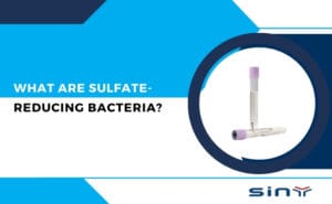 Are Sulfate Reducing Bacteria