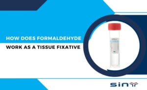 How Does Formaldehyde Work as a Tissue Fixative