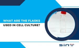 What Are the Flasks Used in Cell Culture?