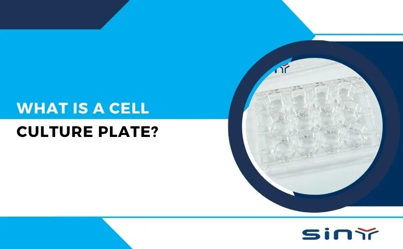 What is a Cell Culture Plate?