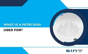 What Is a Petri Dish Used For?
