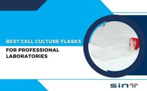 Best Cell Culture Flasks for Professional Laboratories