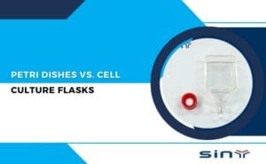 Petri Dishes vs. Cell Culture Flasks