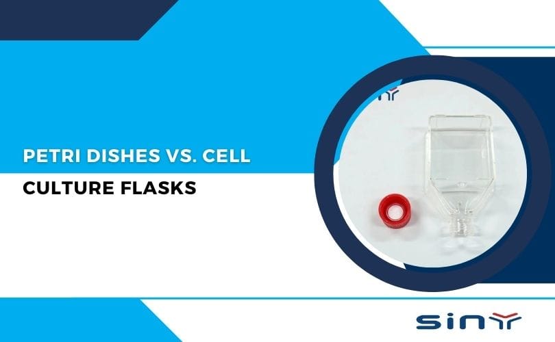 Petri Dishes vs. Cell Culture Flasks