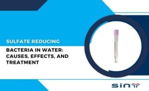 Sulfate Reducing Bacteria in Water: Causes, Effects, and Treatment