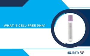 What Is Cell Free DNA