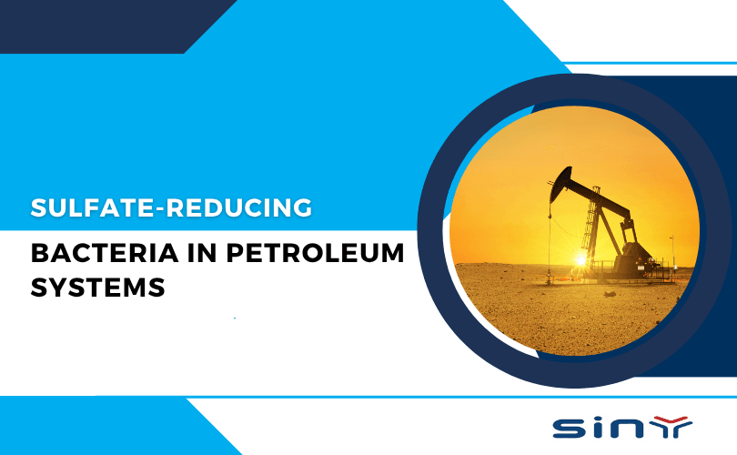 Sulfate-Reducing Bacteria in Petroleum Systems