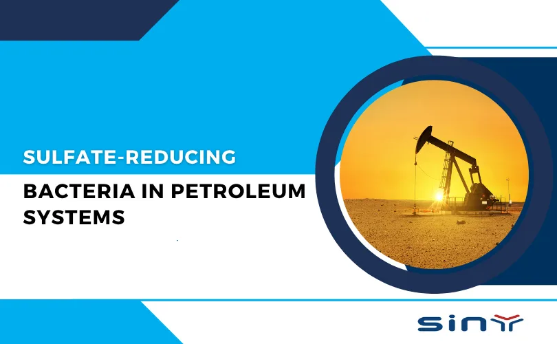 Sulfate-Reducing Bacteria in Petroleum Systems