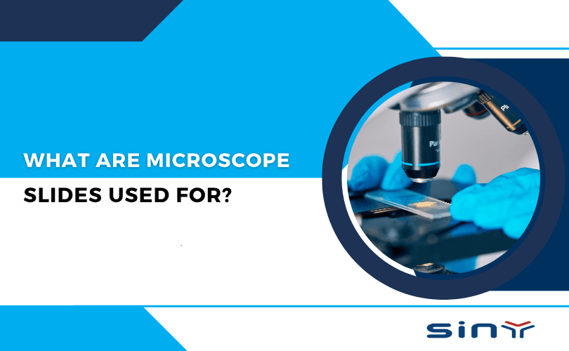 What Are Microscope Slides Used For?