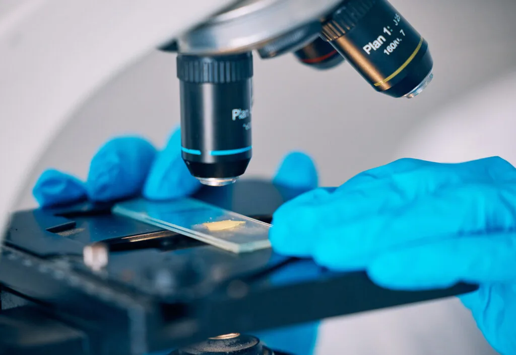 microscope worker hands and science worker resear 2026 01 09 09 37 30 utc