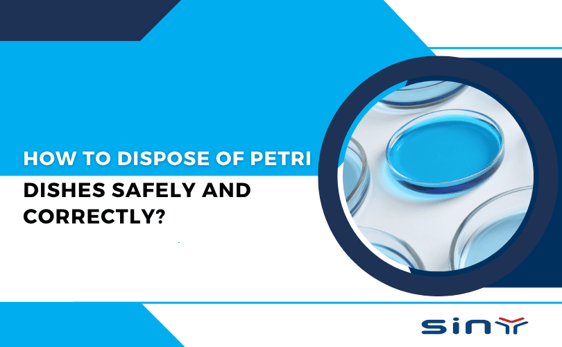How to Dispose of Petri Dishes Safely and Correctly?