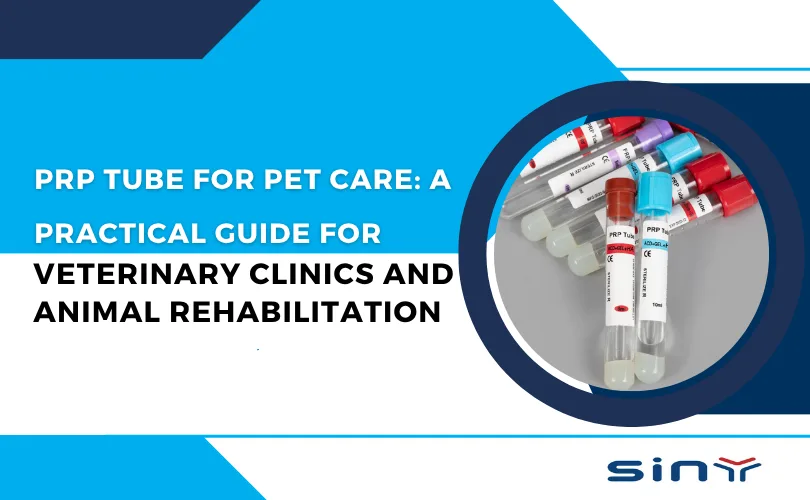 PRP Tube for Pet Care: A Practical Guide for Veterinary Clinics and Animal Rehabilitation