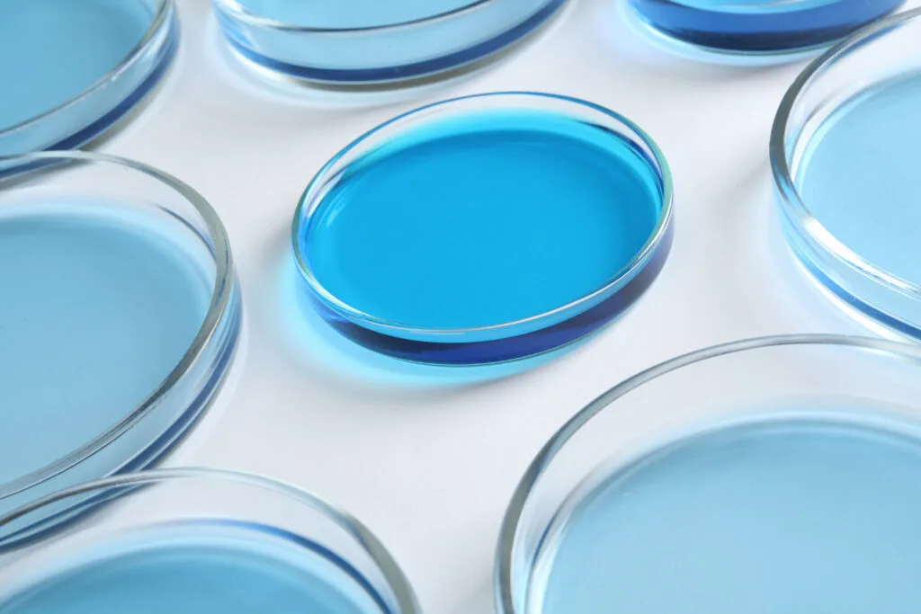 Many Petri dishes with light blue liquids on white background, c