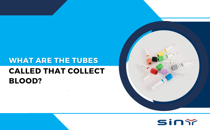 What Are the Tubes Called That Collect Blood?