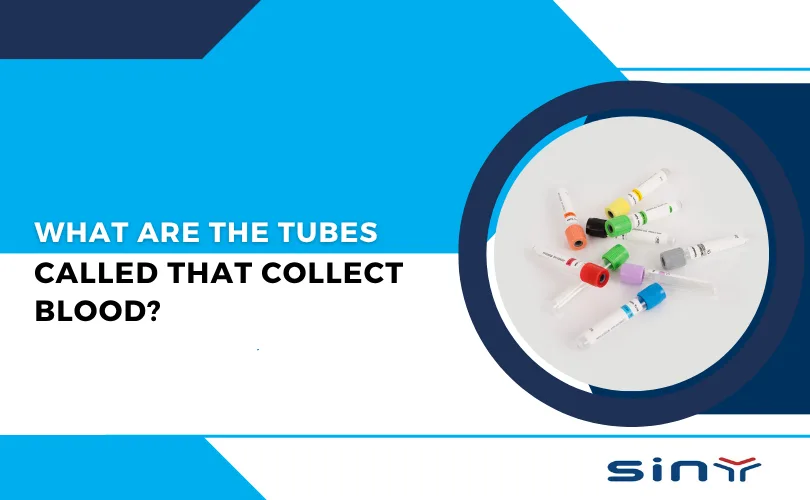 What Are the Tubes Called That Collect Blood?
