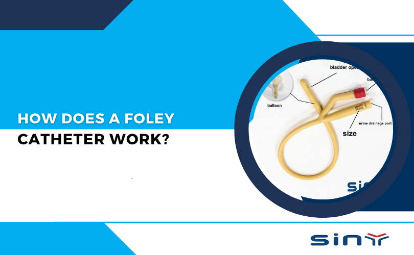 How Does a Foley Catheter Work