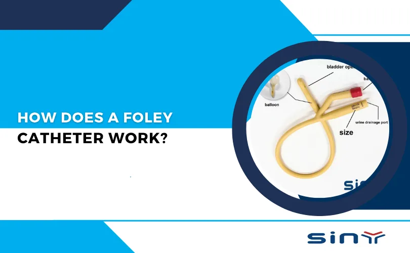 How Does a Foley Catheter Work