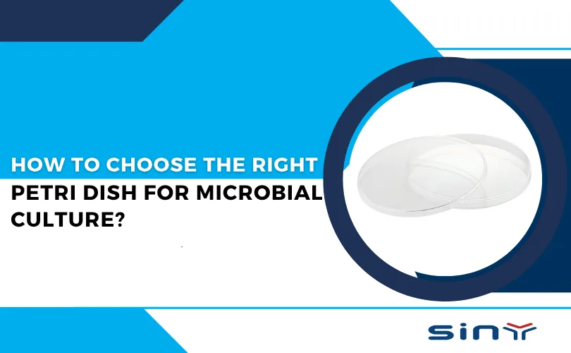 How to Choose the Right Petri Dish for Microbial Culture